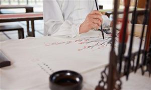 2024中国老年教育行业市场调查分析及发展趋势预测