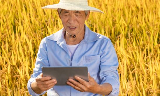 当前农村电商发展面临的主要挑战在于建设标准化、常态化的供应链体系