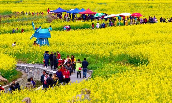 2024休闲农业与乡村旅游行业前景与趋势：打造绿色低碳的农业和旅游产业体系