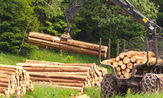 林业机械行业前景如何 林业机械产业现状分析
