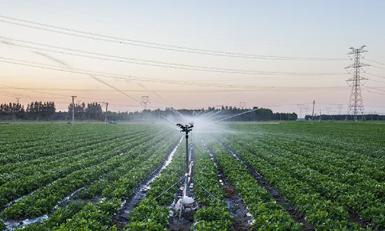 节水灌溉行业现状与前景分析2024