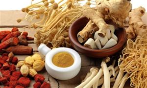 全面实施中医药振兴发展重大工程 中医药产业未来发展前景如何