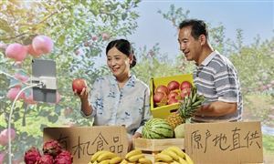 跨境支付行业发展趋势及现状分析2024(图5)