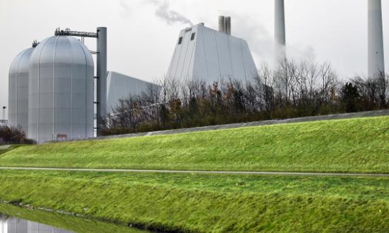 发展植物工厂  实现植物工厂的智能化管控  需要进一步构建“低碳、智能、高效”的生产技术体系