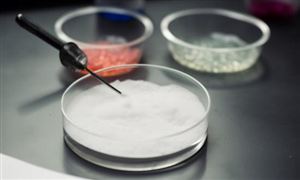 光触媒行业应用领域调研 光触媒行业发展前景分析2024