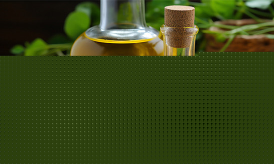 食用植物油发展前景研究分析 食用植物油市场存在较大的机会