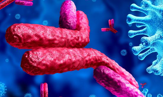 血浆置换市场现状及前景分析2024