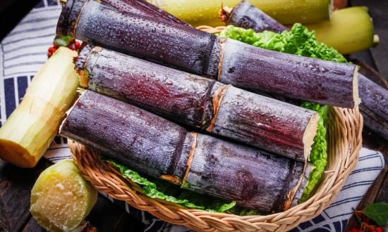 2024年甘蔗行业市场现状及发展趋势