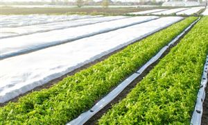 近年来农业银行通过数字化转型不断创新金融模式  中国农业贷款市场分析