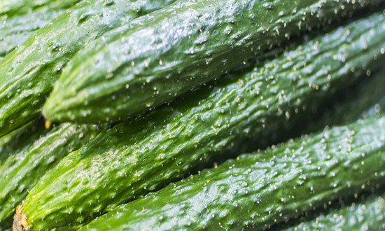 2024年中国黄瓜行业市场发展现状及市场投资分析