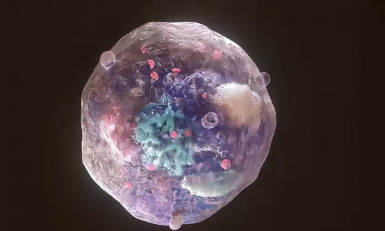 琼胶酶行业应用领域及市场需求前景分析