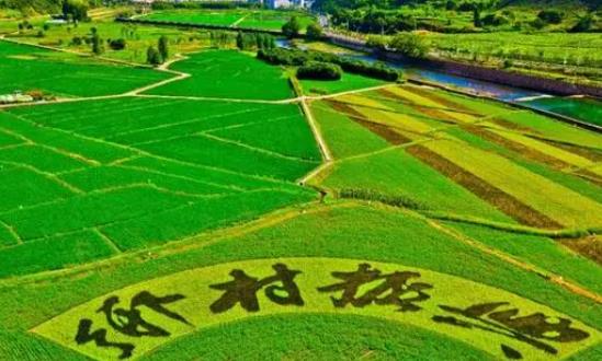 中国乡村振兴战略发展分析及前景展望