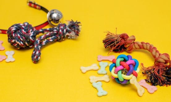 2024宠物用品行业调研 宠物用品市场呈现出多样化、专业化的趋势