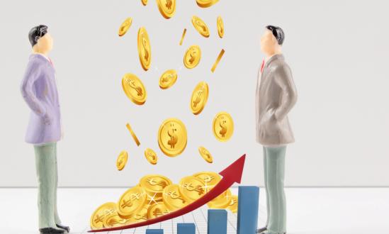 中国担保行业深度调研分析