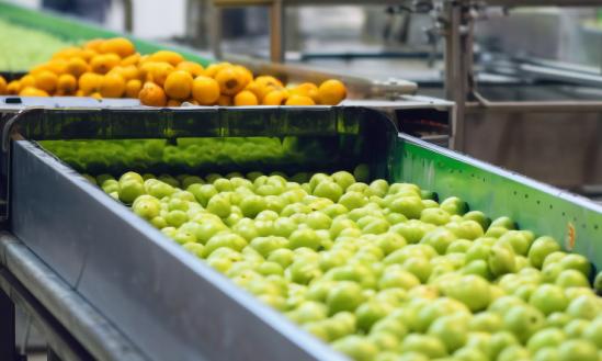 果干蜜饯近年来线上规模与增速均稳步上升  果蔬加工产业现状分析