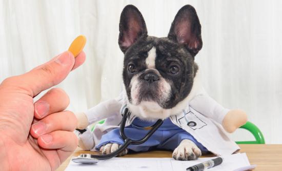 2024中兽药行业发展趋势及发展策略研究