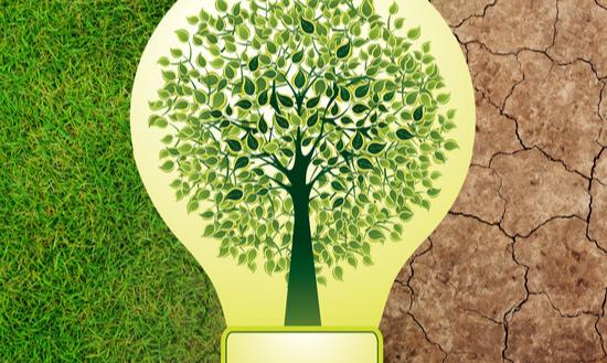 再生资源回收市场前景及现状分析：2024年主要品种再生资源综合利用量要稳中有升