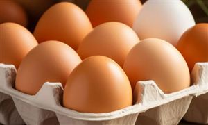 鸡蛋行业市场前景：未来消费者都更倾向于高品质鸡蛋
