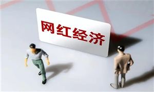 尔滨 又出大招 哈药六厂 新晋网红 经济日报：谁会成为下一个尔滨 网红经济行业市场分析报告