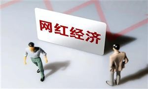 尔滨 又出大招 哈药六厂 新晋网红 经济日报：谁会成为下一个尔滨 网红经济行业市场分析报告