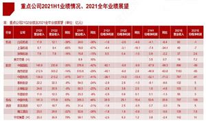 机场酒店行业市场发展机遇深度分析2024