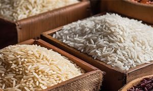 再创历史新高 我国粮食产量连续9年稳定在1.3亿斤以上 粮食行业市场深度分析报告