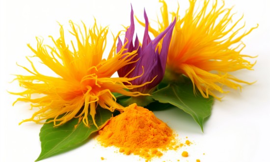 2024年中国花青素行业发展现状及发展趋势