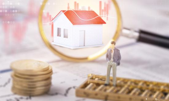 2024中国再担保行业市场前瞻与未来投资战略分析