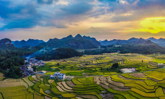 农村集体经济未来发展如何? 农业农村部表示：因地制宜发展新型农村集体经济