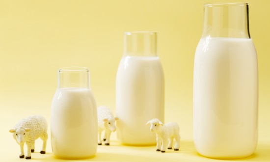 2024年中国羊奶粉行业市场发展现状及发展趋势
