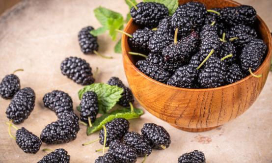 2024花青素行业未来发展趋势预测分析