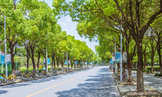 数字化校园建设行业正处于高速发展阶段  数字化校园建设市场规模不断扩大 行业前景十分广阔