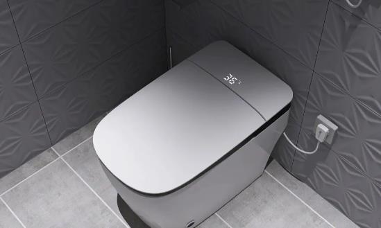 中国智能马桶行业市场调研及投资价值：银发群体是智能马桶市场重要角色