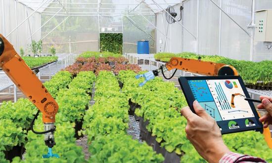 农业信息化市场调研与发展面临的问题：农业数字化保持快速增长态势