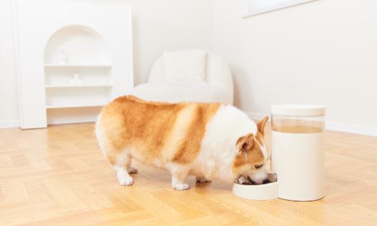 宠物电器行业市场发展现状及竞争格局分析2024