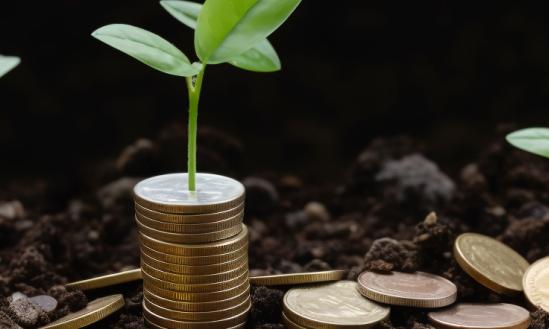 目前我国的可持续发展金融处于发展的初期阶段   可持续金融行业市场前景分析