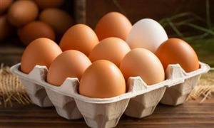 2024鸡蛋行业市场现状深度调研