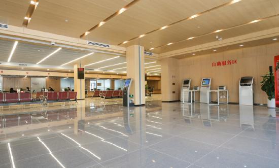 2024年电子政务产业现状及未来发展趋势分析报告