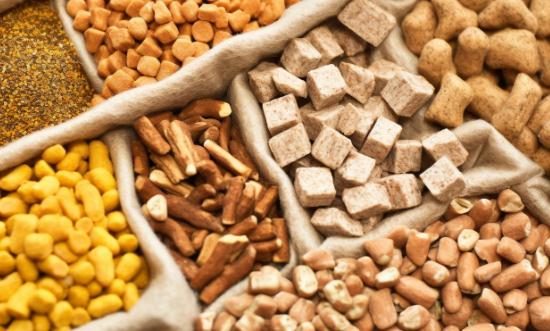 2024猪饲料行业市场产销现状及趋势分析