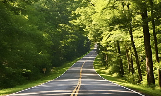 清香木行业发展分析及市场状况展望