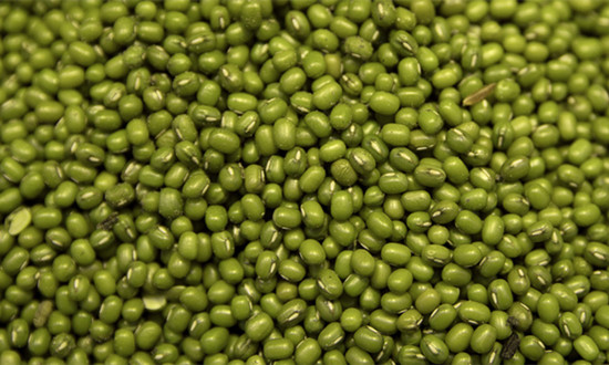 绿豆行业种植面积、产量及发展现状分析