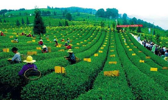 农业经济行业投资机会与现状：2023年云南地区生产总值30021亿元