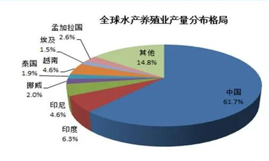 2024中国海鲜市场消费怎样?海鲜市场需求潜力分析2024