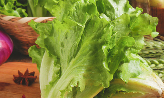 生菜行业市场发展态势及需求情况分析