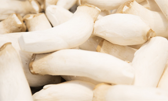 杏鲍菇行业发展现状及未来发展趋势分析