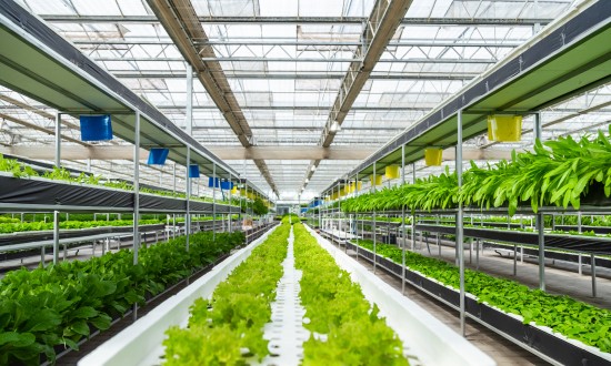 2024年中国农业信息化行业市场发展现状及重点企业