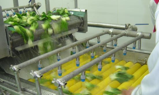 净菜加工行业市场调查现状分析：北京市场净菜供应量尚不足10%