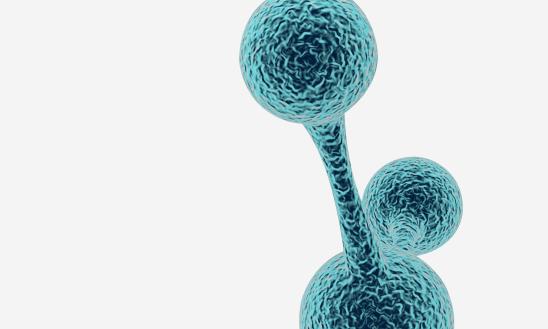 我国纳米刀行业市场前瞻分析2024