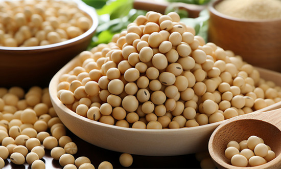 大豆蛋白行业市场现状及空间分析：消费结构升级，规模和品质成为竞争的主要因素