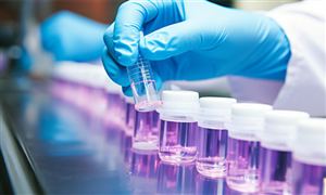 质量检验检测行业市场现状及前景分析2024